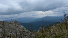 (zdj. Piotr Jankowski-Mihułowicz)