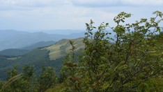 (zdj. Piotr Jankowski-Mihułowicz)