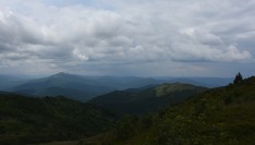 (zdj. Piotr Jankowski-Mihułowicz)