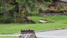 (zdj. Piotr Jankowski-Mihułowicz)